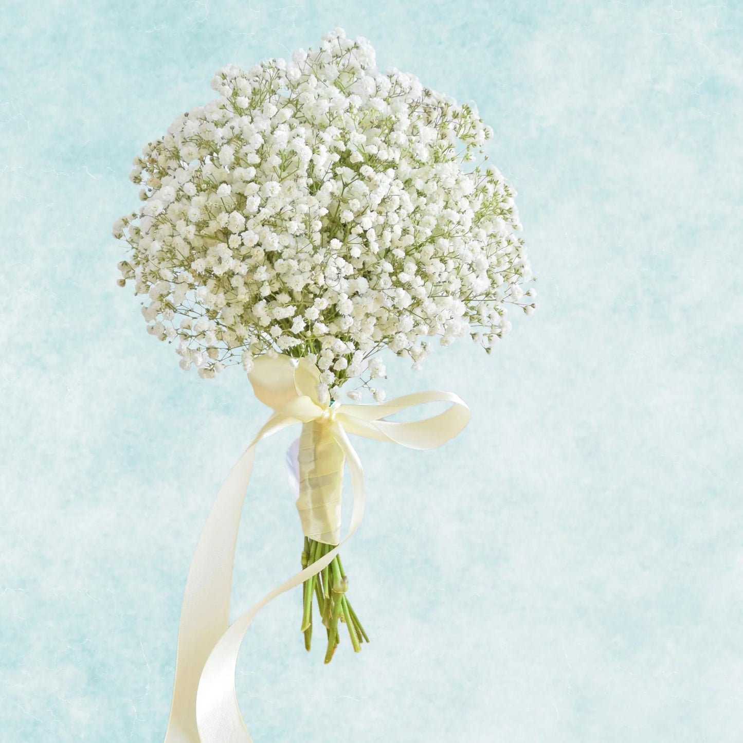 Baby Breath Stalk Bow dan Bunga
