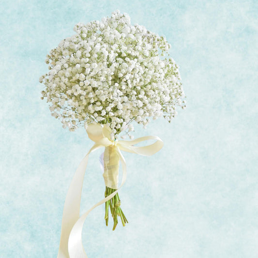Baby Breath Stalk Bow dan Bunga